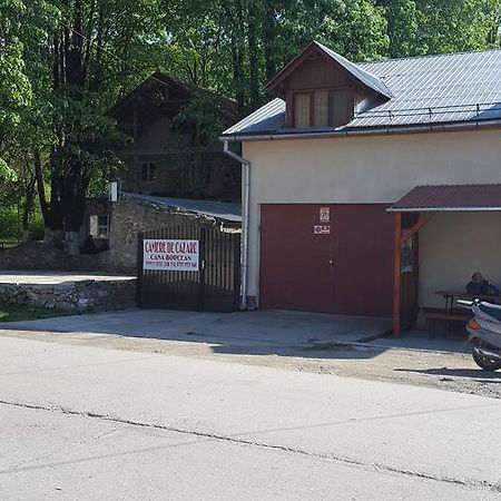 Casa Borcean Villa Sasca Montana Exterior photo