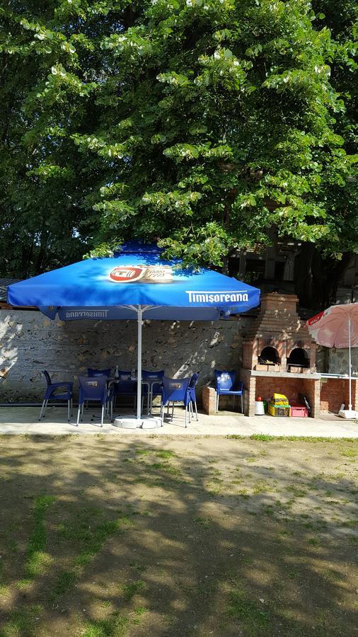 Casa Borcean Villa Sasca Montana Exterior photo